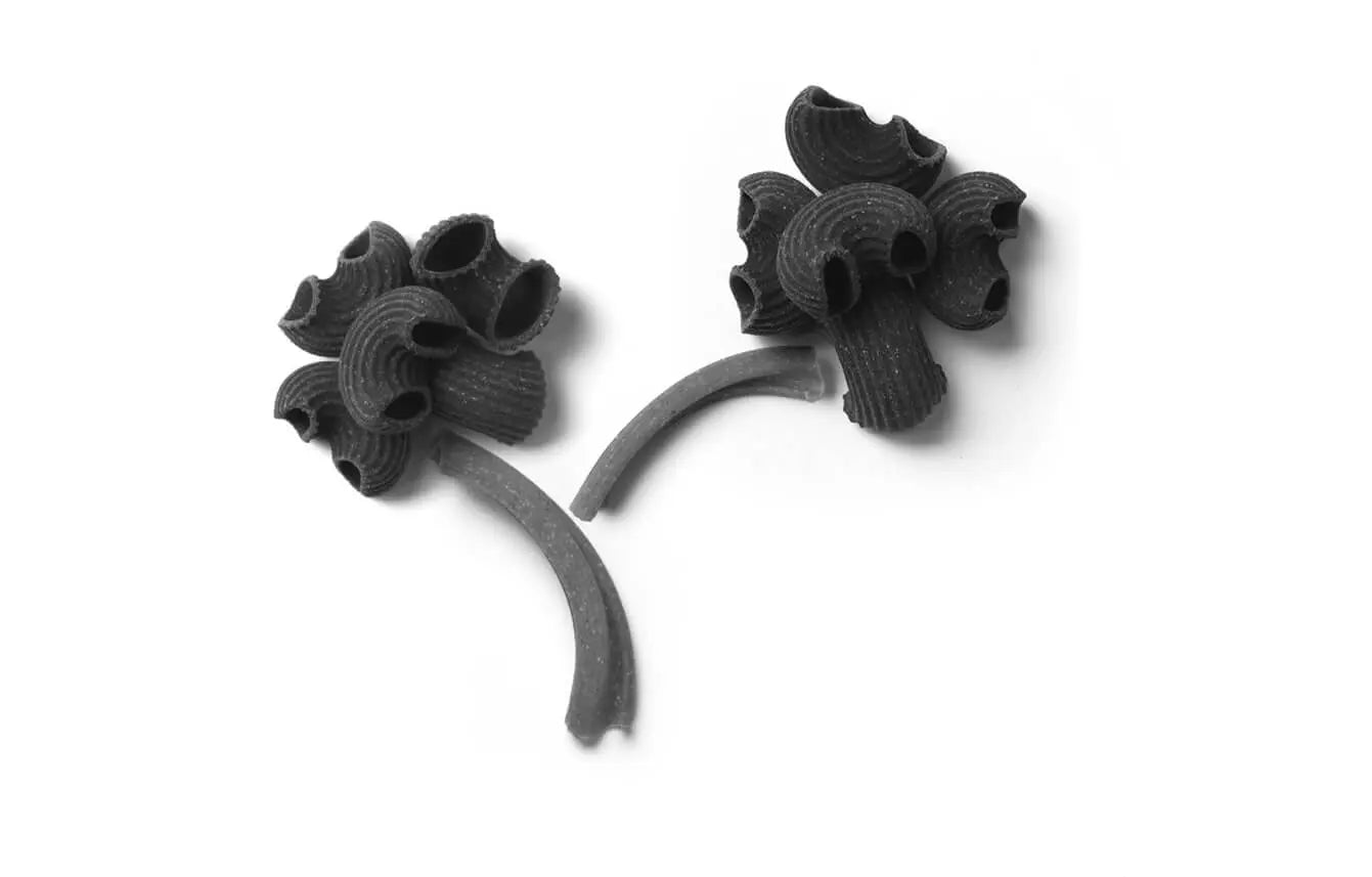 Screenshot from Bontasana website