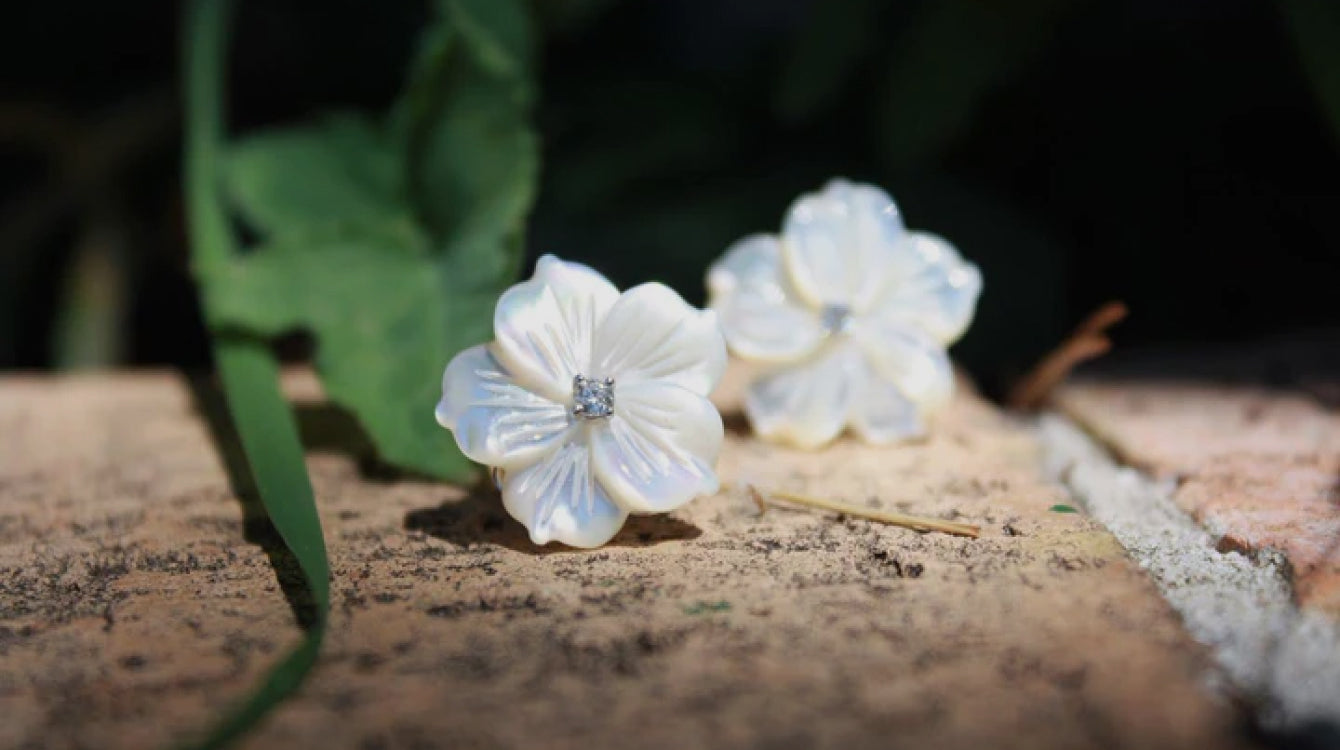 Mediterranee Passioni