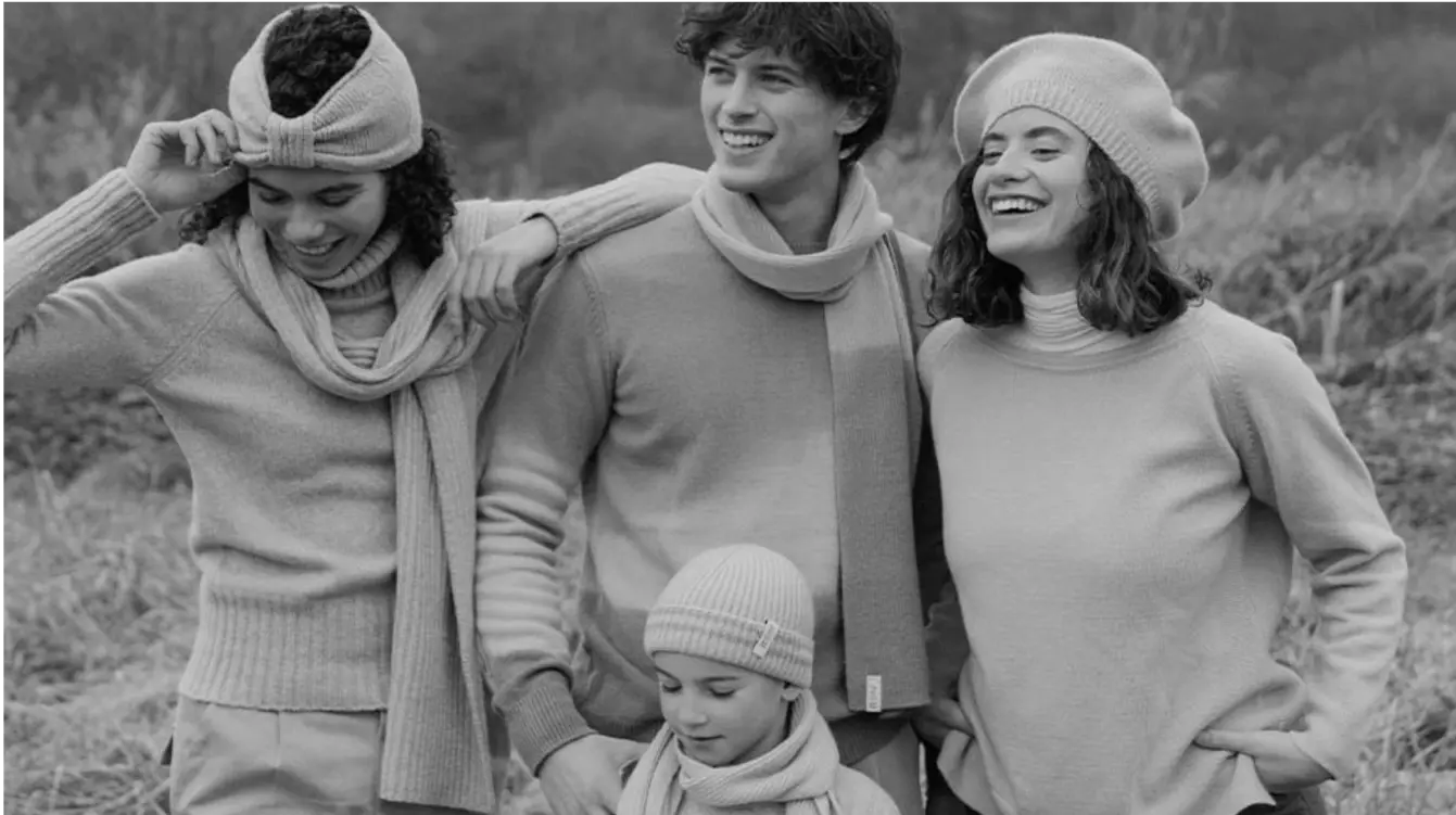 Screenshot from Rifo website